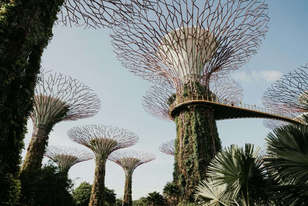 How to Establish a Family Fund in Singapore: A Complete Guide