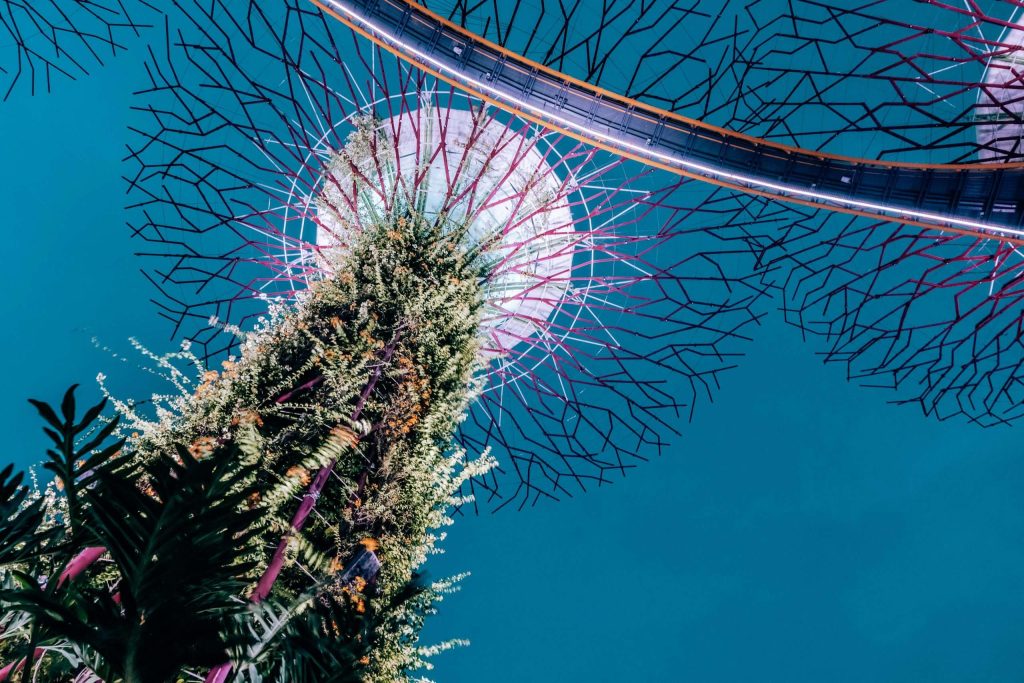 External Asset Managers (EAMs) in Singapore: Guide to Wealth Management