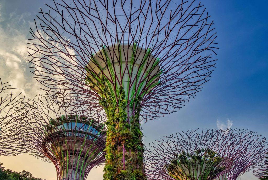 How Multi-Family Offices Facilitate Private Bank Accounts in Singapore